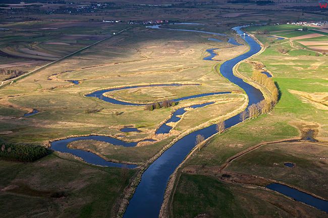 Rzeka Narew w okolicy Gory Strekowej. EU, Pl, Podlaskie. Lotnicze.