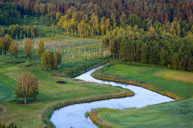 Meandry rzeki Lyna miedzy Olsztynem a Dobrym Miastem. EU, PL, warm-maz. Lotnicze.