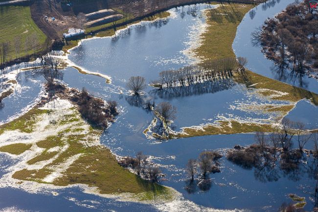 Dolina rzeki Drwecy. Wiosenne rozlewiska w okolicy Szerokie. EU, PL, Kujawsko - Pomorskie. Lotnicze