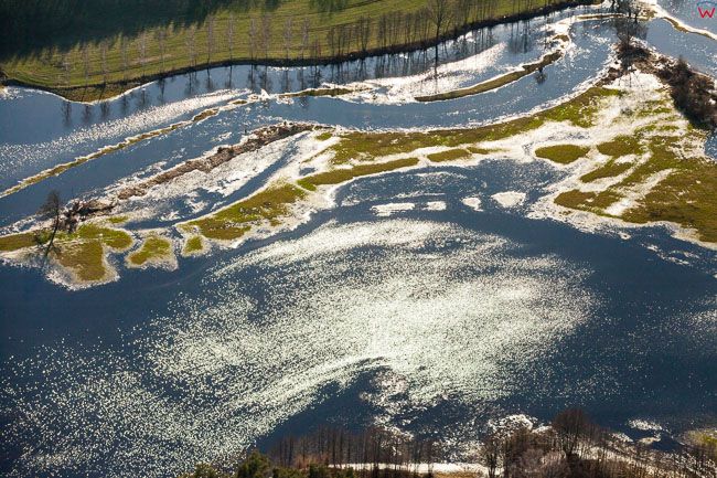 Dolina rzeki Drwecy. Wiosenne rozlewiska w okolicy Szerokie. EU, PL, Kujawsko - Pomorskie. Lotnicze