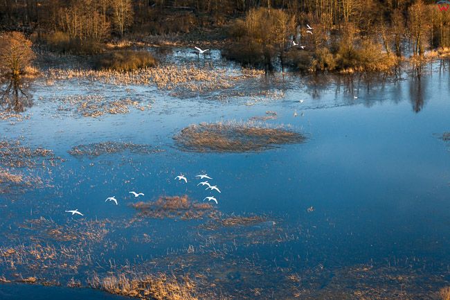 Brodnicki PK, wiosenne rozlewiska rzeki Drwecy. EU, PL, Kujawsko - Pomorskie. Lotnicze
