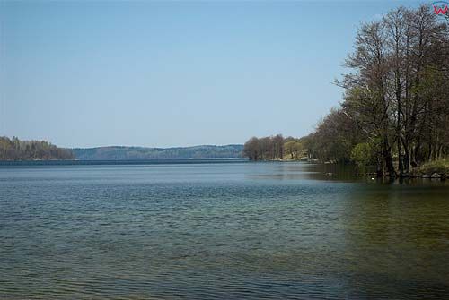 _W060357 jezioro Hańcza, widok od strony wsi Błaskowizna.