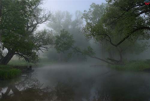 Mgła nad rzeką Krutynia w Mazurskim Parku Krajobrazowym.