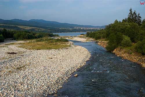 Rzeka Bialka wpadająca do Zalewu Czorsztynskiego.