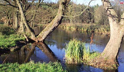 Mazurski Park Kajobrazowy. Rzeka Krutynia
