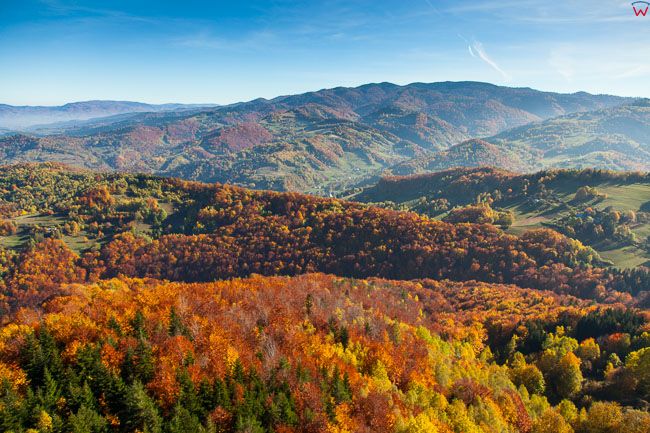 Beskid Sadecki, gora Grabczanska, panorama w kierunku Lazy Brzynskie. EU, Pl, Malopolskie. Lotnicze.