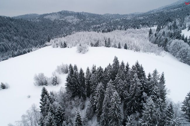 Gorce w zimowej scenerii. EU, PL, malopolskie, Lotnicze