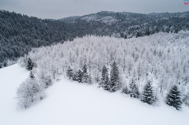 Gorce w zimowej scenerii. EU, PL, malopolskie, Lotnicze
