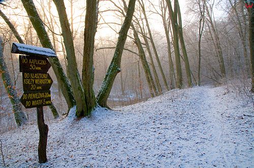 Warm-Maz, dolina rzeki Walszy.