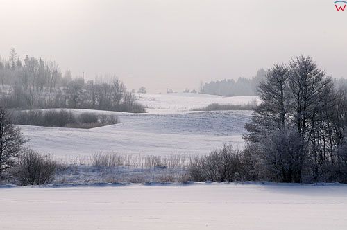 PL, Warm-Maz, Park Krajobrazowy Puszczy Romnickiej.