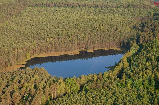 Lotnicze, Pl, warm-maz. Mazurski Park Krajobrazowy. Rezerwat Krolewska Sosna.