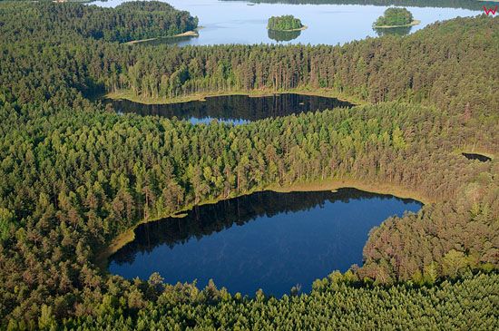 Lotnicze, Pl, warm-maz. Mazurski Park Krajobrazowy. Rezerwat Krolewska Sosna.