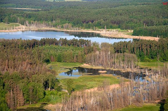 Lotnicze, Pl, warm-maz. Mazurski Park Krajobrazowy. Jezioro Kolowin.