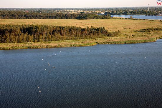 Lotnicze, Pl, Pomorskie. Jezioro Ptasi Raj na Wyspie Sobieszewskiej.