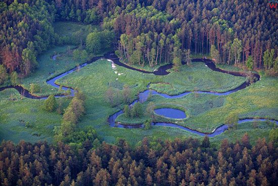 Roztoczanski Park Narodowy - meandry rzeki Wieprz. EU, PL, Lubelskie. LOTNICZE.