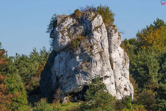 Jura Krakowsko - Czestochowska, skaly w okolicy Pilicy, EU, Pl, Slask, LOTNICZE.