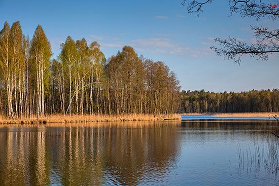 Krutyn, Mazurski Park Krajobrazowy, nz. jezioro Krutynskie. EU, Pl, Warm-Maz.