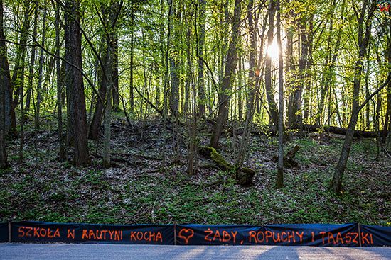 Krutyn, Mazurski Park Krajobrazowy, nz. ochrona zab i plazow przed kolami samochodow. EU, Pl, Warm-Maz.