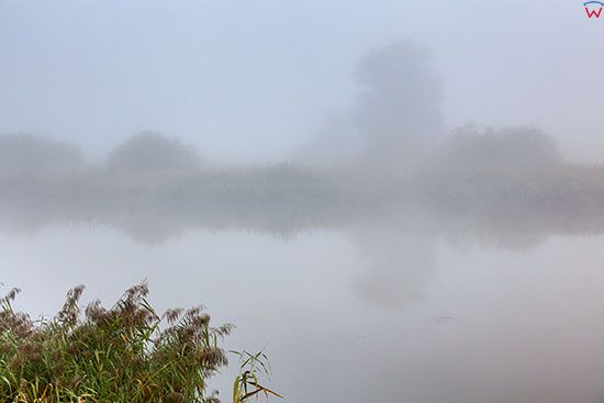 Park Narodowy Ujscie Warty, poranne mgly nad rzeka. EU, Pl, Lubuskie.