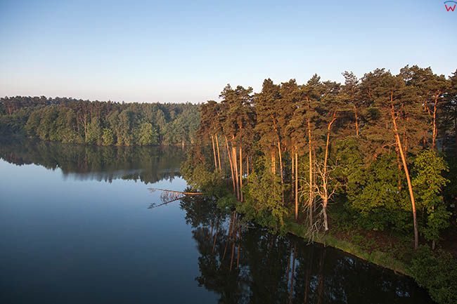 Wdecki Park Krajobrazowy, okolica miejscowosci Grzybek. EU, PL, Kujawsko-Pomorskie.