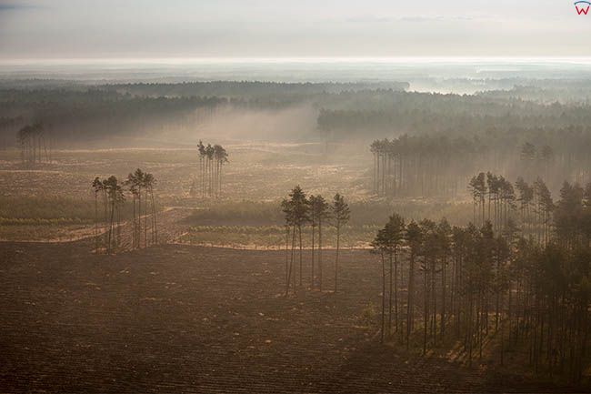 Wdecki Park Krajobrazowy, obszar spustoszony przez trabe powietrzna z lipca 2012 r.. EU, PL, Kujawsko-Pomorskie.