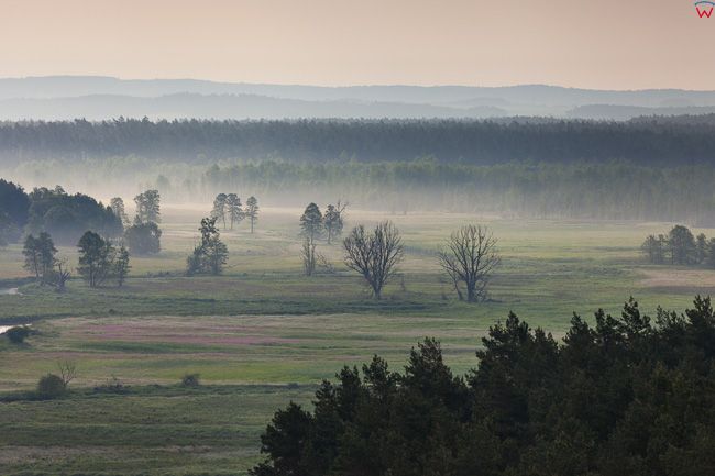 Brodnicki Park Krajobrazowy, 26.05.2016 n/z dolina rzeki Drwecy. EU, PL, Kuj-Pom. Lotnicze.