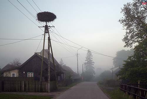 Poranek we wsi Gałkowo