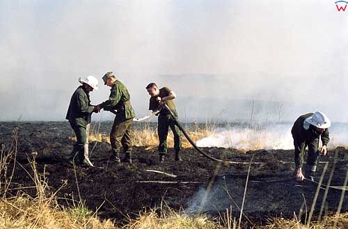 Akcja gaśnicza przy palącej się trawie