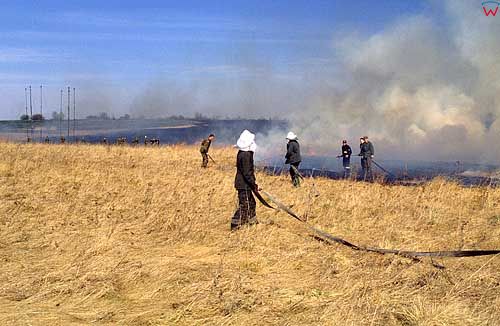 Strażacy przy gaszeniu palącej się trawy