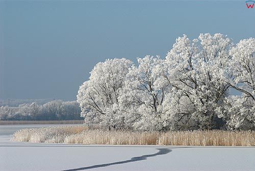 Warm-Maz. Zima nad jeziorem Wielochowskim.