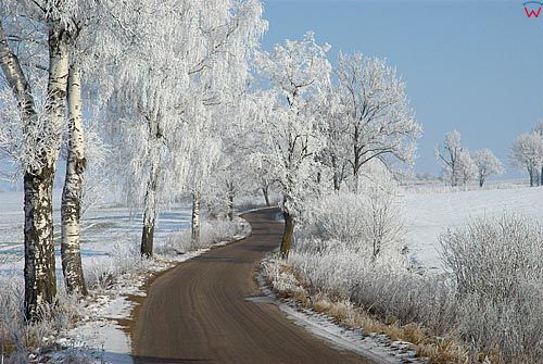 Warminsko-Mazurskie, pejzaz zimowy.