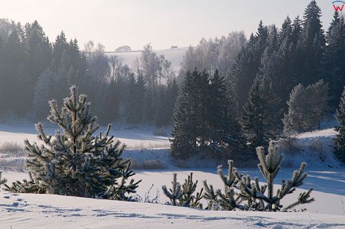 PL, Warm-Maz, zimowy pejzaz okolicy Stanczyki.