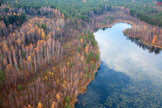Lotnicze, PL, warm-maz. Jezioro srodlesne w okolicy Piotraszewa.