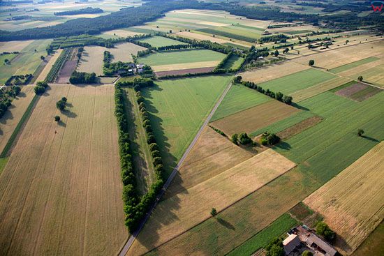 Lotnicze, EU, PL, mazowieckie. Panorama okolicy Stanislawowo, Guty.