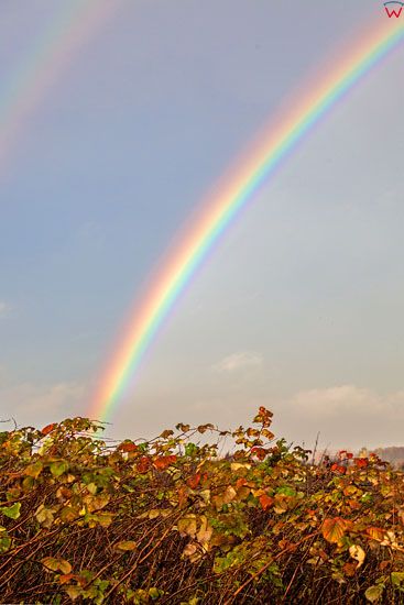 Mazury, tecza w okolicy Galin, 27.10.2013. EU, PL, Warm-Maz. Fot. Wojcik Wojciech/FORUM.