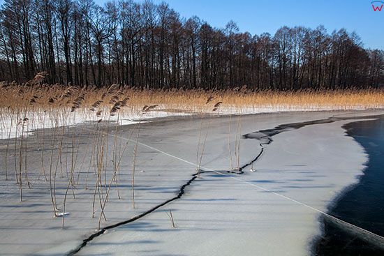 Jezioro Kisajno w zimowej scenerii, okolica Wysy Czapla. EU, PL, Warm-Maz.
