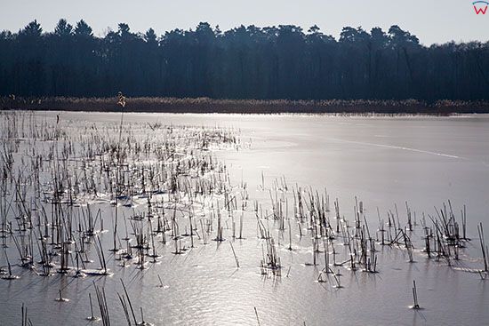 Jezioro Kisajno w zimowej scenerii, okolica Wyspy Gorny Ostrow. EU, PL, Warm-Maz.