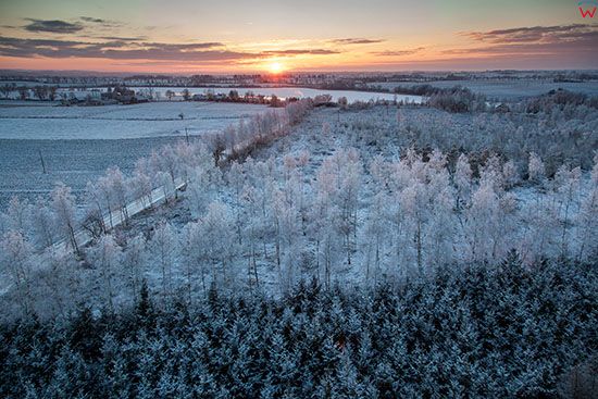 Wielochowo, wilgoc i duzy mroz spowodowaly piekne szrony na Warmii. EU, PL, Warm-Maz. Lotnicze.