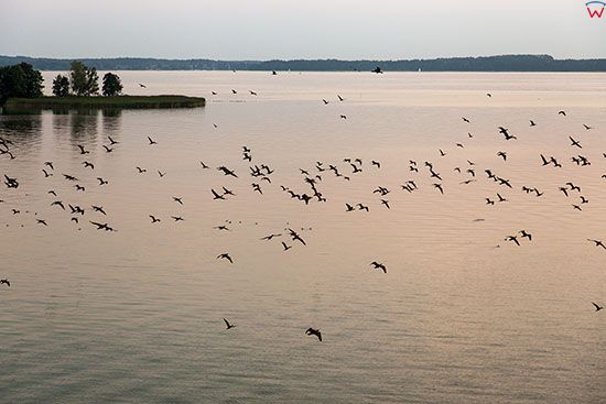 Jezioro Niegocin, okolica Gizycka. EU, PL, Warm-Maz. Lotnicze.