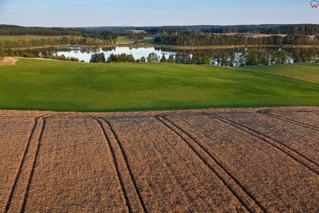 Orlo, panorama rolnicza okolicy Rynu. EU, PL, Warm-Maz. Lotnicze.