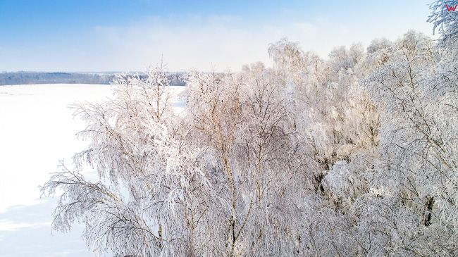 Zima, oszronione drzewa w okolicy Elblaga. EU, PL, Warm-maz. Lotnicze.