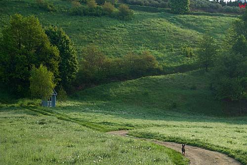 Lubelskie. Pejzaz.