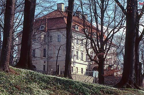 Pałac w Biedrzychowicach