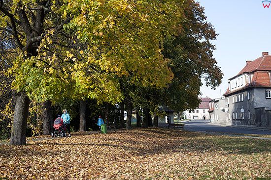 Krzeszow, aleja przy ulicy Wilmana. EU, Pl, Dolnoslaskie.
