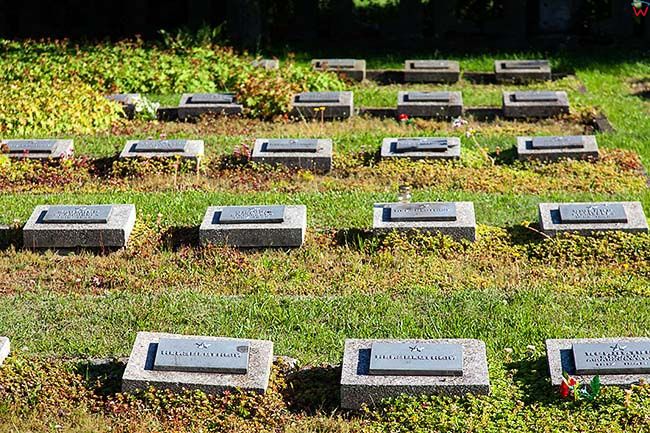 Legnica, cmentarz Zolnierzy Radzieckich w wydzielonej czesci cmentarza komunalnego. EU, Pl, Dolnoslaskie.