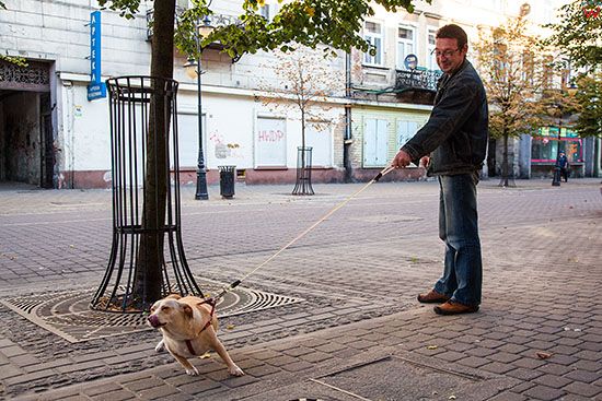 Wloclawek, mezczyzna z psem przy ulicy 3 Maja. EU, PL, Kujawsko - Pomorskie.