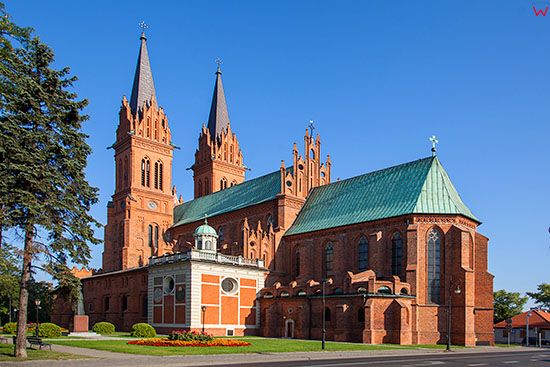 Wloclawek, Katedra Wniebowziecia NMP. EU, PL, Kujawsko - Pomorskie.