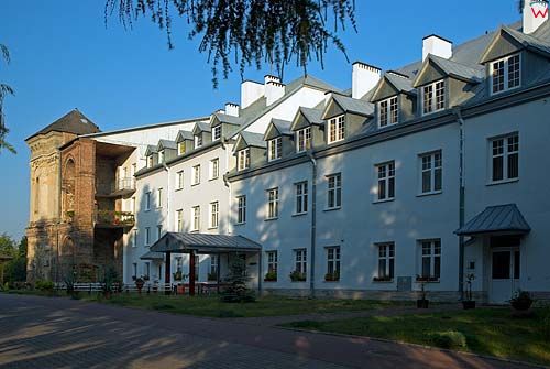 Pałac Firlejów w Dąbrowicy