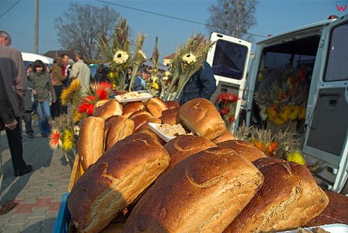 Niedziela Palmowa w Łysych (Kurpie)