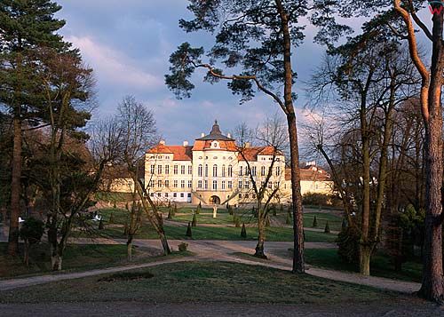 Rogalin, pałac raczyńskich